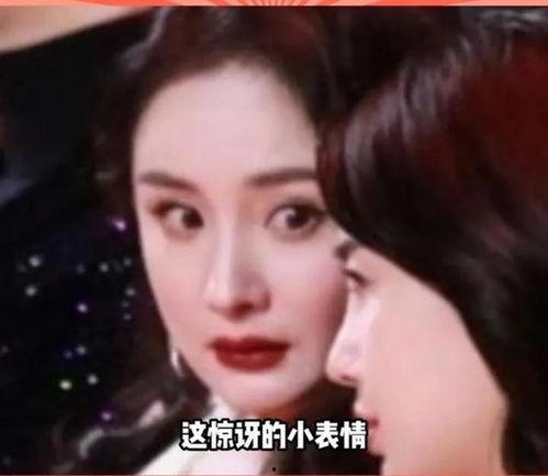 娱乐圈的瓜哪里吃,揭秘明星幕后故事